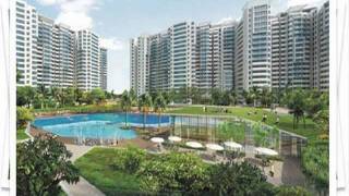 Ajnara Daffodil - Sector 137, Noida