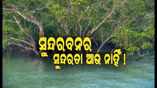 ସୁନ୍ଦରବନରେ ଲ୍ୟାଣ୍ଡଫଲ୍‌ କରିବ ବାତ୍ୟା ‘ଅମ୍ଫାନ୍‌’