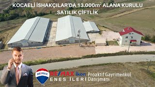 KOCAELİ DERİNCE İSHAKÇILAR'DA 13.000m² ALANA KURULU SATILIK BÜYÜK BAŞ BESİ ÇİFTLİĞİ