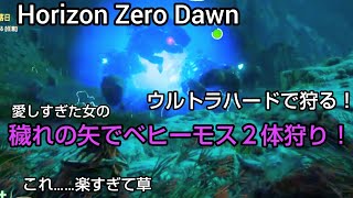 ホライゾンゼロドーン ウルトラハード 激突！ベヒーモスVSベヒーモス！ 穢れの矢で楽々２体狩り！実況女子