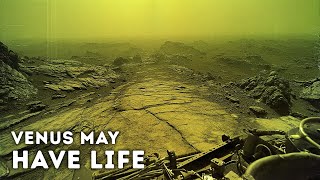 Scientists Just Proved That Life Could Exist on Venus