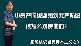 小资产阶级坠落到无产阶级，该怎么对待他们？——正确认识当代资本主义之3