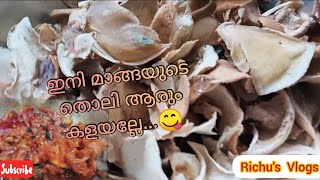 ഇനിമുതൽ മാങ്ങയുടെ തൊലി ആരും കളയല്ലേ😋.../മാങ്ങാത്തൊലി അച്ചാർ/ #manga #mangopicklerecipe #mangopickle