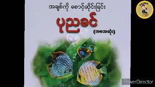 ပုညခင် အချစ်ကိုစောင့်ဆိုင်းခြင်း  (အစအဆုံး) /ပုညခင္ အခ်စ္ကိုေစာင့္ဆိုင္းျခင္း (အစအဆုံး)