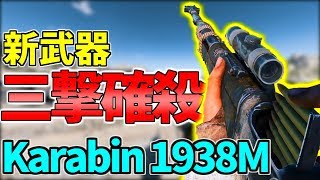 【BFV】高精度な新武器”Karabin 1938M”が想像以上に強かった！【battlefield5実況】