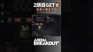 2頭目GET🦁 金庫に隠れてた/ノースリッジ(クイック)【アリーナブレイクアウト/Arena Breakout】#arenabreakout