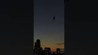 Large car-sized flying craft spotted over downtown Los Angeles, CA #losangeles #drone #uap #t4a