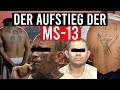 Der AUFSTIEG der GEFÄHRLICHSTEN LATINO GANG  - Die Mara Salvatrucha (Dokumentation)