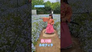 “桜”  ネモフィラと抜刀術【長居植物園】