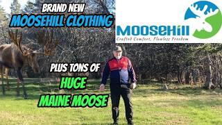 Huge Moose Plus Brand New Moose Moosehill Clothing #moose #big #brandnew #moosehill #wildlife