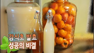 감식초 담그는법 성공의 비결 / 감식초 발효과정 / 감식초 발효 실패 장면