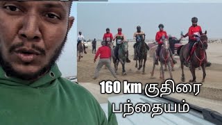 இதற்க்கு பெயர் தான் 160 Km தூரம் குதிரை பந்தையம்.Hindi and tamil Horse endurance race 160km|