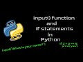Input() function and if statements in Python