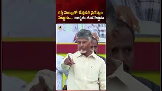 క‌ల్తీ నెయ్యితో దేవుడికి నైవేద్యం పెట్టారు .. వాళ్ళను వదిలిపెట్టను | #Chandrababu | #YTShorts