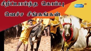 சீறிப்பாய்ந்த கொம்பு வெச்ச சிங்கங்கள் |Palamedu | Jallikattu