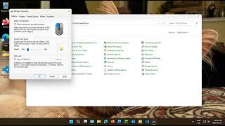 ✔️ Windows 11 - Larger Pointer - Adjust Mouse Cursor Size and Properties