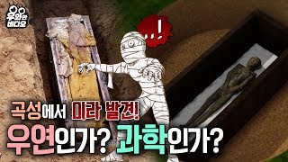 ※ 소름주의! 곡성에서 400년 전 미라가 나타났다고?!!  ※┃Shock Alert! 400-Year-Old Mummy Found in Gokseong