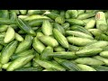 যে কারণে বাজারে বেড়েছে সব ধরনের সবজির দাম vegetable price market price independent tv