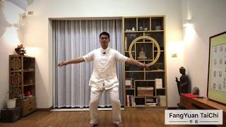 Chen Style TaiChi 18 Forms  / Learn and Practice TaiChi at Home