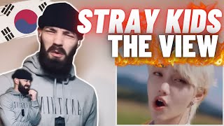 TeddyGrey Reacts to Stray Kids 