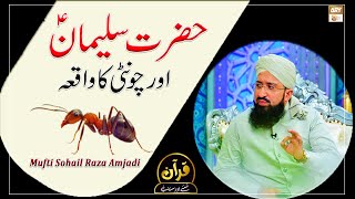 Hazrat Suleman A.S Aur Chunti Ka Waqia - Latest Bayan 2022 #MuftiMuhammadSohailRazaAmjadi
