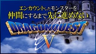 【DQ5】#15-2 エンカウントしたモンスターを仲間にするまで先に進めないドラゴンクエストV