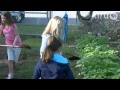 Casis Elementary vegetable garden: Central Texas Gardener