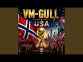 VM-gull i USA