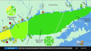 Nonprofit Group 'Save The Sound' Giving Water Quality Report Cards To Bays Along Long Island Sound
