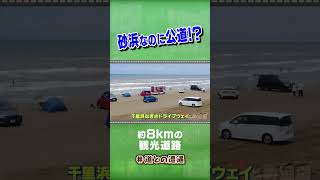 千里浜なぎさドライブウェイ #道との遭遇 #shorts