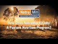 How Does NatraMin Fit Into A Pasture Nutrition Program