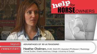 Advantages of 3D Ultrasound? - Dr. Heather Chalmers - Roaring Research