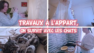 Une semaine de travaux à l'appartement avec les chats, pour un petit coin de paradis | Vlog N°5 | S2