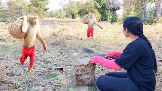 Smart SokYaa Carrying Basket To Mother Doing This For Eating