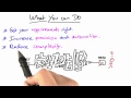 What You Can Do - Software Debugging