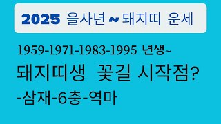 2025년 을사년 돼지띠생 -1959-1971-1983-1995 년생~운세-삼재-6충-역마 .역할중에서 가장 좋은 선택은?  주도권을 잡지마라~상대를  맞춤식으로 만나라