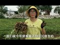 henan zhumadian peanut picking machine can not enter the ground artificially 120 a day to find some