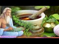 காயகற்பம் மூலிகை மகிமைகள் kayakalpa mooligai benefits in tamil