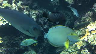 2016國立海洋生物博物館-夜宿海生館好悠哉