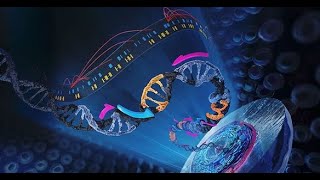 Transcribe DNA Sequences From Multi-Fasta File Using Python