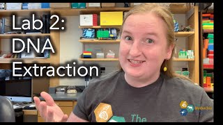 The Wolbachia Project Lab 2: DNA Extraction