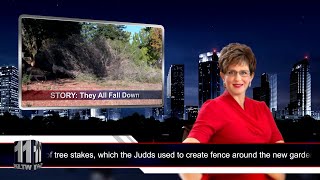 Judd Family News Episode 2: Falling Trees and Angry Horses