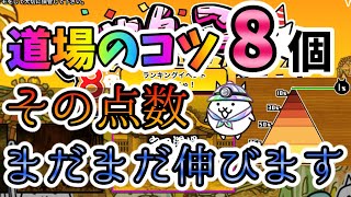 【にゃんこ大戦争　初心者】道場でランキング上位に食い込むためにやるべき事解説【The Battle Cats】