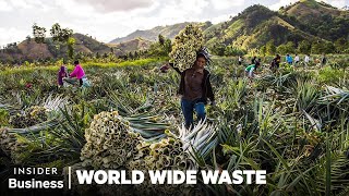 How People Profit Off Pineapple Scraps | World Wide Waste | Insider Business