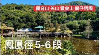 香港行山：2021 01 02 鳳凰徑5 6段觀音山羌山靈會山大澳Hiking Lantau Trail Section 5 6