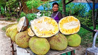 Джекфрут - самый крупный фрукт в мире, растущий на дереве