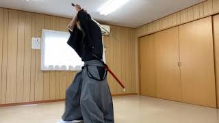 Muso Jikiden Eishin Ryu Iaido Dainipon Battouho Shato  古流居合　無双直伝英信流居合道　大日本抜刀法　斜刀