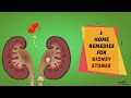 5 Home Remedies for Kidney Stones