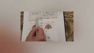 شرح EMBRYOLOGY - لكجر 5،6 - الجزء 2