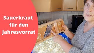 Sauerkraut für unseren Jahresvorrat ansetzen